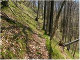 Kraljev hrib - Domžalski dom na Mali planini